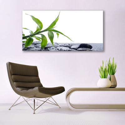 Plexiglas® Wall Art Leaf floral green