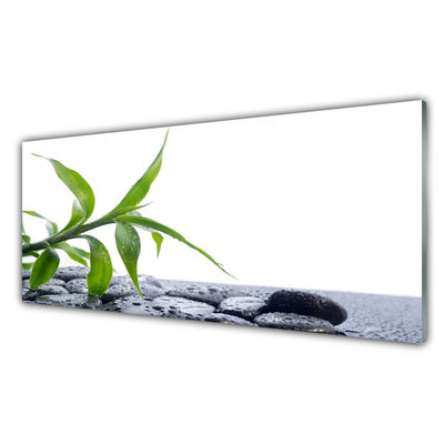 Plexiglas® Wall Art Leaf floral green