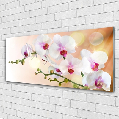 Plexiglas® Wall Art Flowers floral white pink