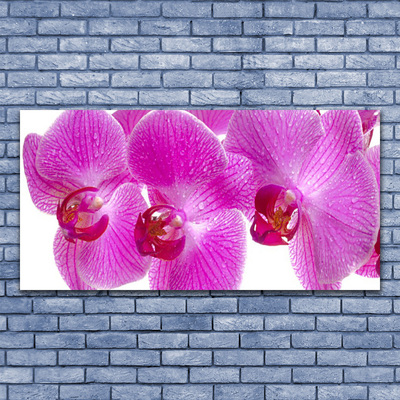 Plexiglas® Wall Art Flowers floral pink