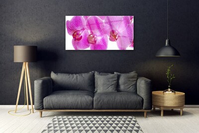 Plexiglas® Wall Art Flowers floral pink