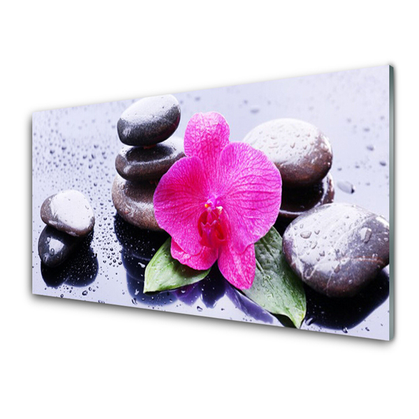 Plexiglas® Wall Art Flower stones art red black