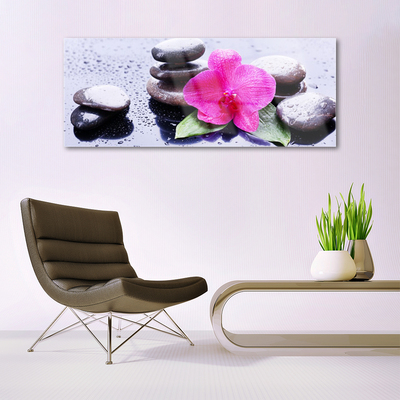 Plexiglas® Wall Art Flower stones art red black