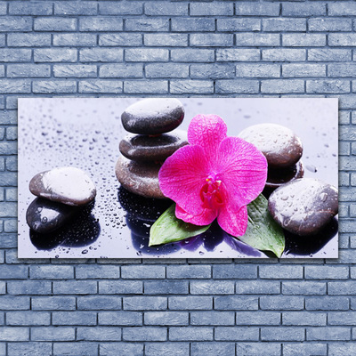 Plexiglas® Wall Art Flower stones art red black