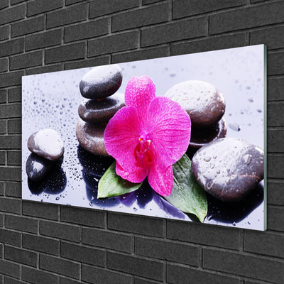 Plexiglas® Wall Art Flower stones art red black