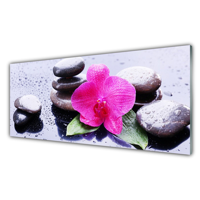 Plexiglas® Wall Art Flower stones art red black