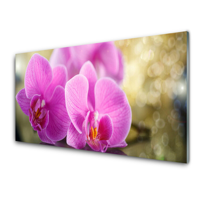 Plexiglas® Wall Art Flowers floral pink