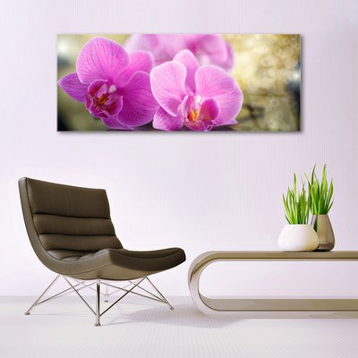 Plexiglas® Wall Art Flowers floral pink