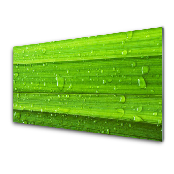 Plexiglas® Wall Art Grass nature green