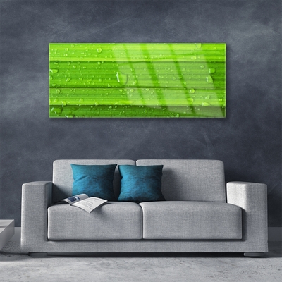 Plexiglas® Wall Art Grass nature green