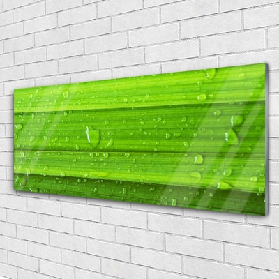 Plexiglas® Wall Art Grass nature green