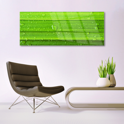 Plexiglas® Wall Art Grass nature green