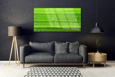 Plexiglas® Wall Art Grass nature green