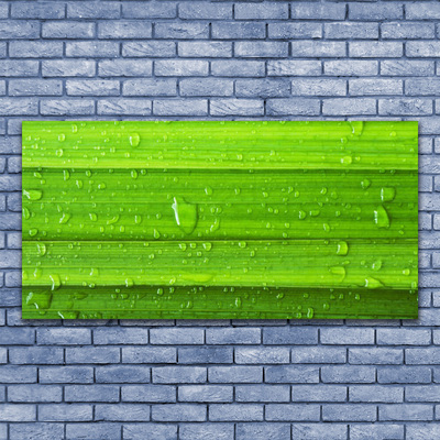 Plexiglas® Wall Art Grass nature green