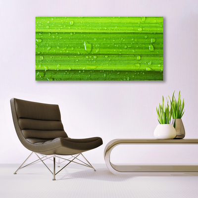 Plexiglas® Wall Art Grass nature green