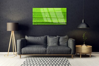 Plexiglas® Wall Art Grass nature green