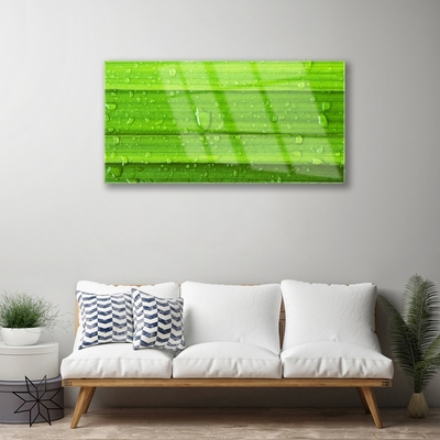 Plexiglas® Wall Art Grass nature green