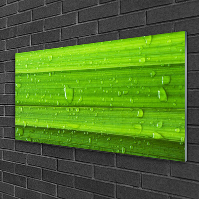 Plexiglas® Wall Art Grass nature green