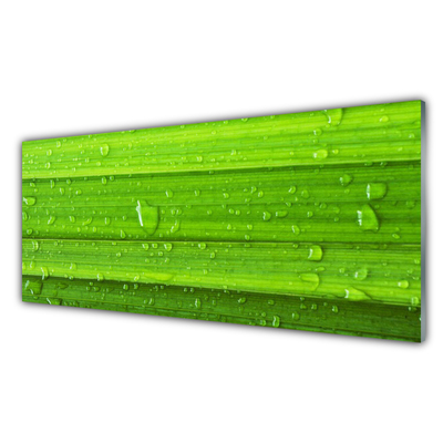 Plexiglas® Wall Art Grass nature green