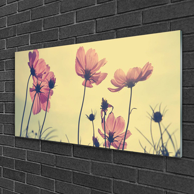 Plexiglas® Wall Art Flowers floral pink