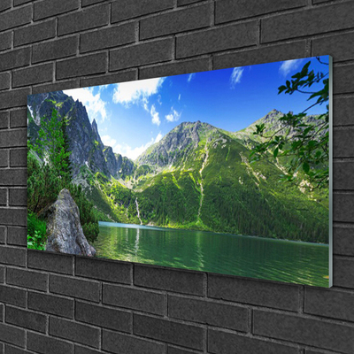 Plexiglas® Wall Art Mountain lake nature grey green