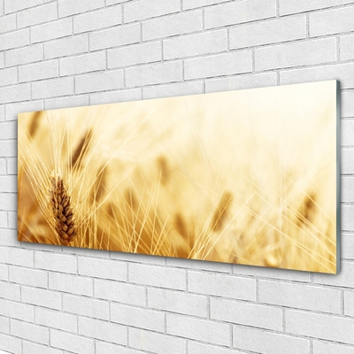 Plexiglas® Wall Art Wheat floral yellow