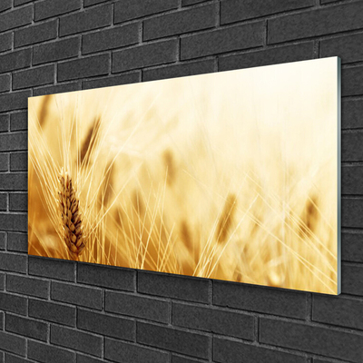 Plexiglas® Wall Art Wheat floral yellow