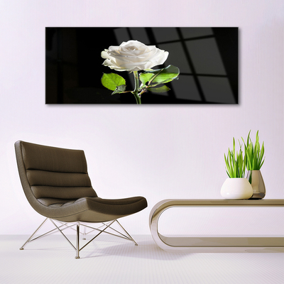 Plexiglas® Wall Art Rose floral white