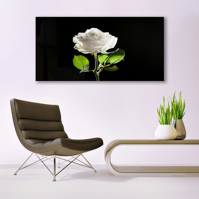 Plexiglas® Wall Art Rose floral white