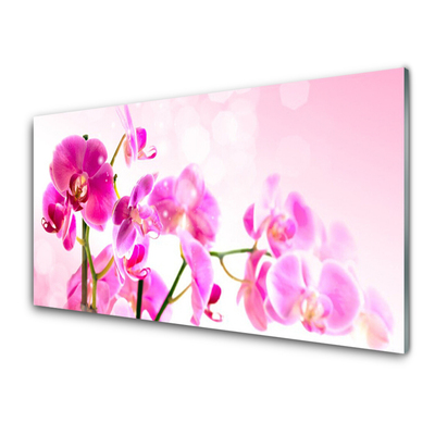 Plexiglas® Wall Art Flowers floral pink