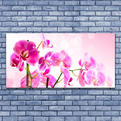 Plexiglas® Wall Art Flowers floral pink