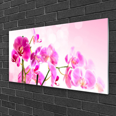 Plexiglas® Wall Art Flowers floral pink