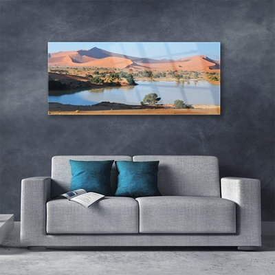 Plexiglas® Wall Art Bay desert landscape brown green blue