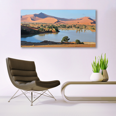 Plexiglas® Wall Art Bay desert landscape brown green blue