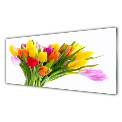 Plexiglas® Wall Art Tulips floral yellow red pink orange