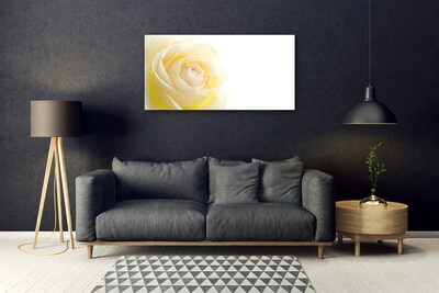 Plexiglas® Wall Art Rose floral white yellow