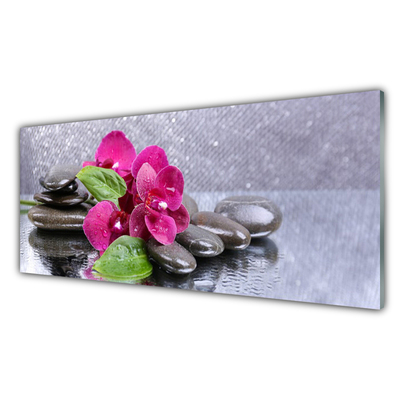 Plexiglas® Wall Art Flower stones art red black