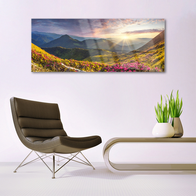 Plexiglas® Wall Art Mountain meadow sun landscape grey blue yellow green red