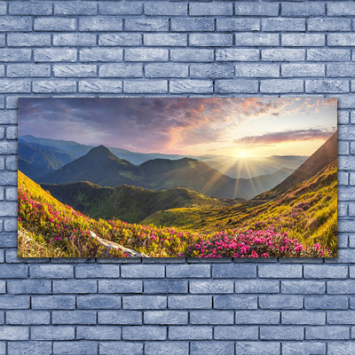 Plexiglas® Wall Art Mountain meadow sun landscape grey blue yellow green red