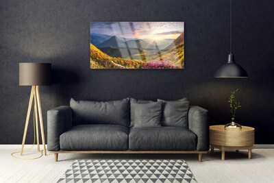 Plexiglas® Wall Art Mountain meadow sun landscape grey blue yellow green red