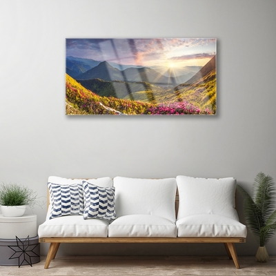 Plexiglas® Wall Art Mountain meadow sun landscape grey blue yellow green red