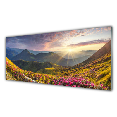 Plexiglas® Wall Art Mountain meadow sun landscape grey blue yellow green red