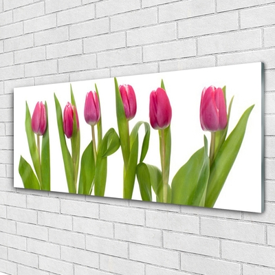 Plexiglas® Wall Art Tulips floral red