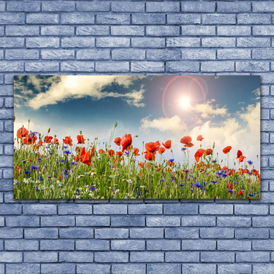 Plexiglas® Wall Art Meadow flowers nature green red purple white