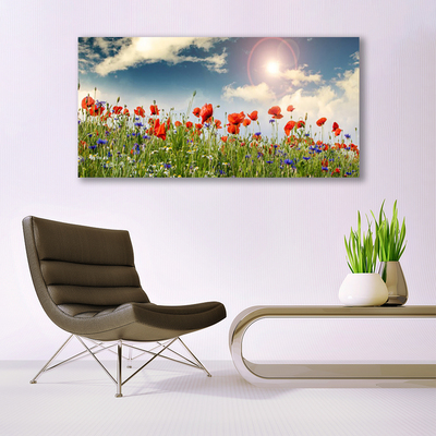 Plexiglas® Wall Art Meadow flowers nature green red purple white