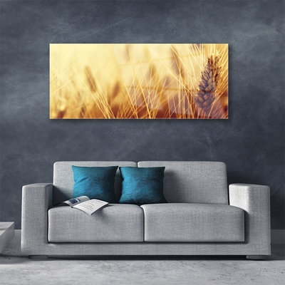 Plexiglas® Wall Art Wheat floral brown