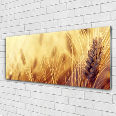 Plexiglas® Wall Art Wheat floral brown