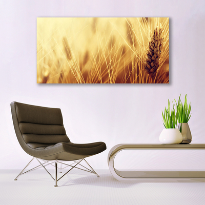 Plexiglas® Wall Art Wheat floral brown