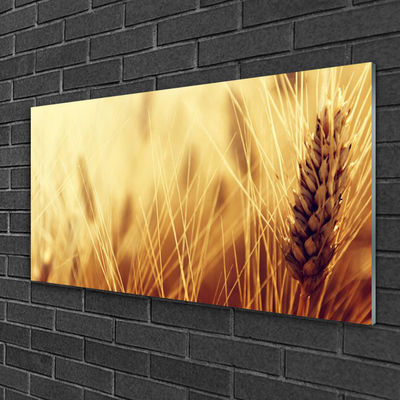 Plexiglas® Wall Art Wheat floral brown