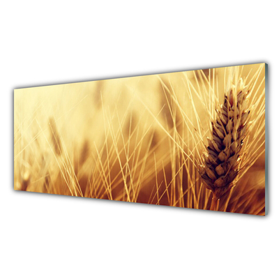 Plexiglas® Wall Art Wheat floral brown